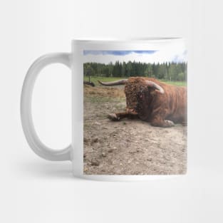 Scottish Highland Cattle Bull 1809 Mug